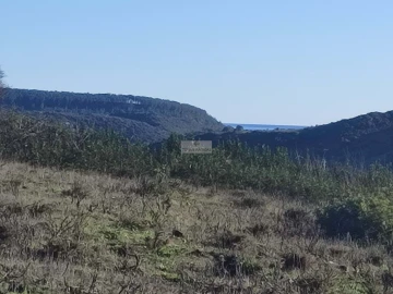 Terreno para Venda em Budens