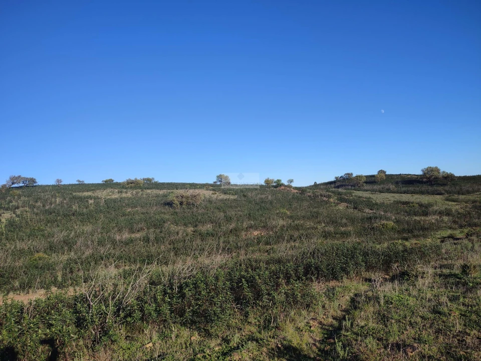 Terreno para Venda em Budens Foto 2