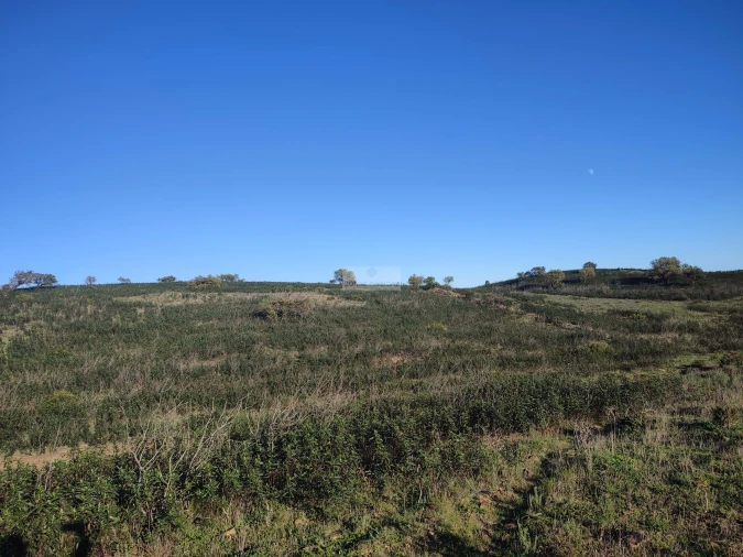 Terreno para Venda em Budens Foto 2