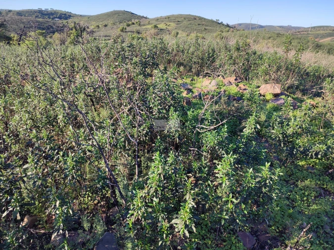 Terreno para Venda em Budens Foto 3