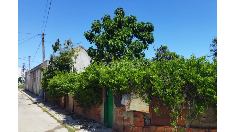 Terreno para Venda em Baixa da Banheira e Vale da Amoreira Foto 3