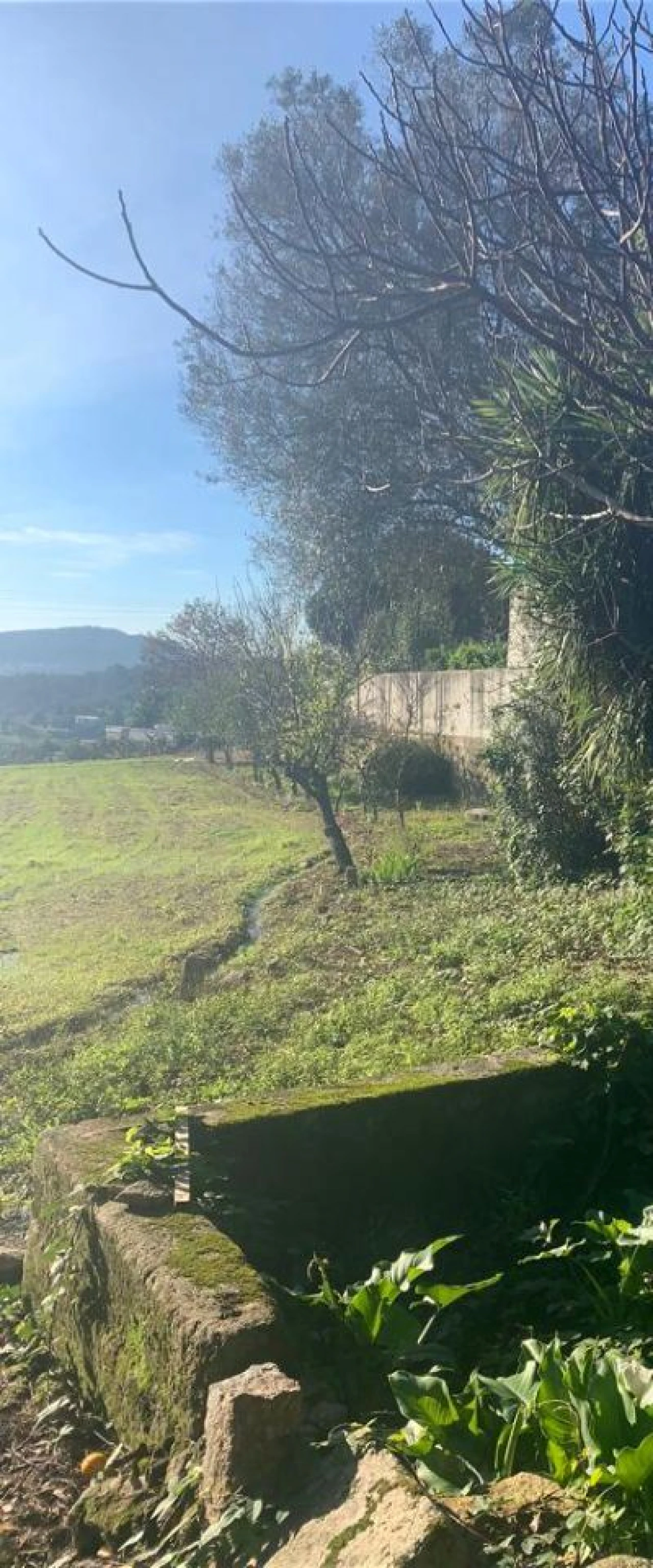 Moradia T0 para Venda em Abade de Neiva Foto 5