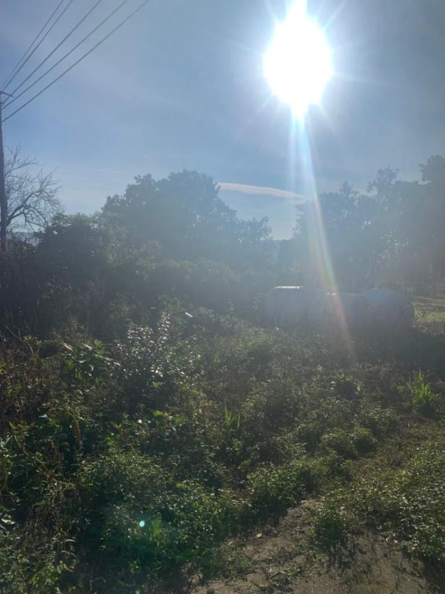 Moradia T0 para Venda em Abade de Neiva Foto 11