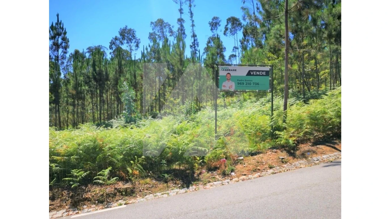 Terreno para Venda em Ovar, São João, Arada e São Vicente de Pereira Jusã Foto 2