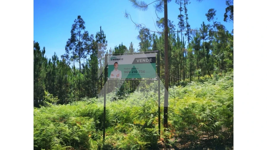 Terreno para Venda em Ovar, São João, Arada e São Vicente de Pereira Jusã Foto 3