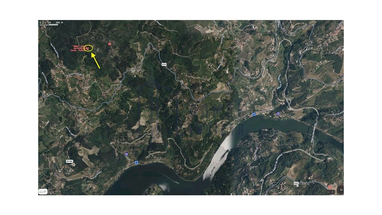 Terreno para Venda em Santa Cruz do Douro e São Tomé de Covelas Foto 3