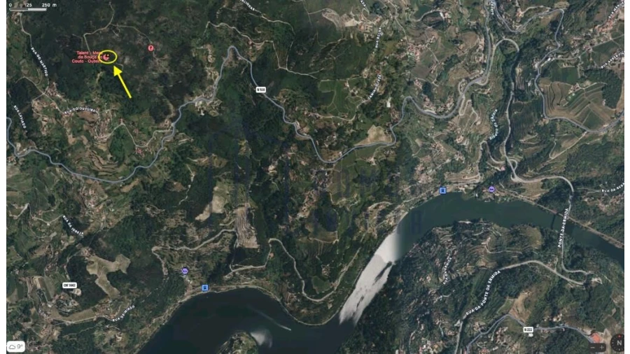 Terreno para Venda em Santa Cruz do Douro e São Tomé de Covelas Foto 3