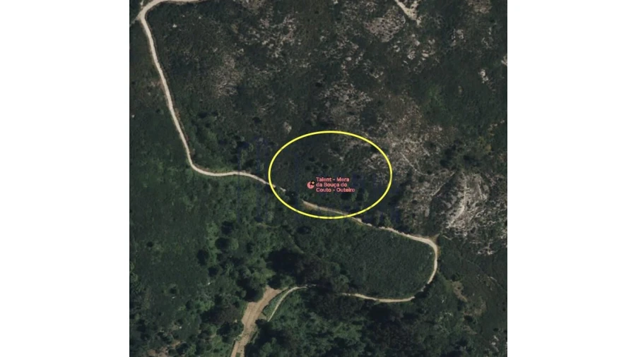 Terreno para Venda em Santa Cruz do Douro e São Tomé de Covelas Foto 2