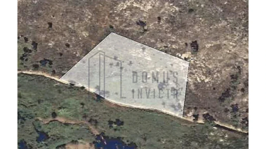 Terreno para Venda em Santa Cruz do Douro e São Tomé de Covelas Foto 1