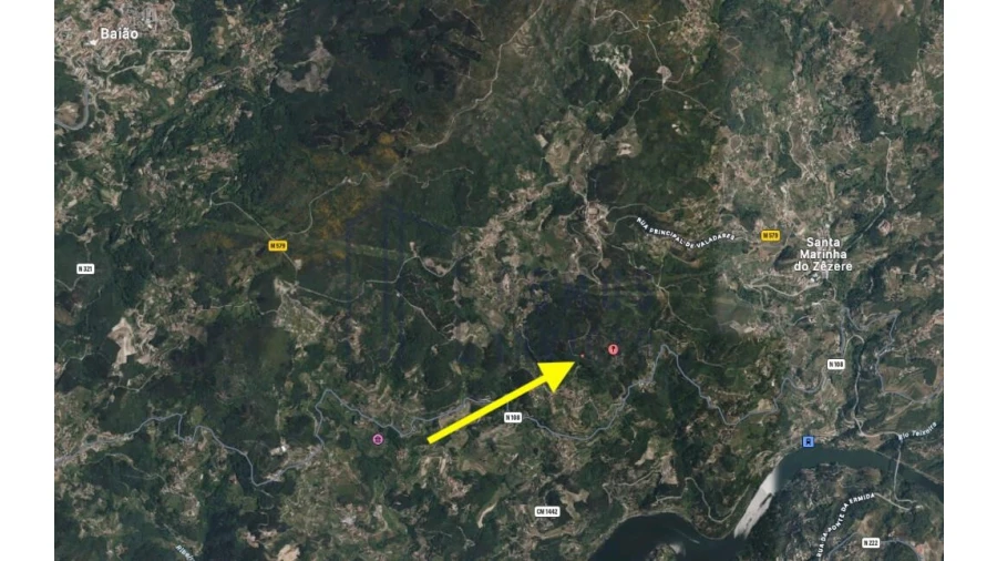 Terreno para Venda em Santa Cruz do Douro e São Tomé de Covelas Foto 4