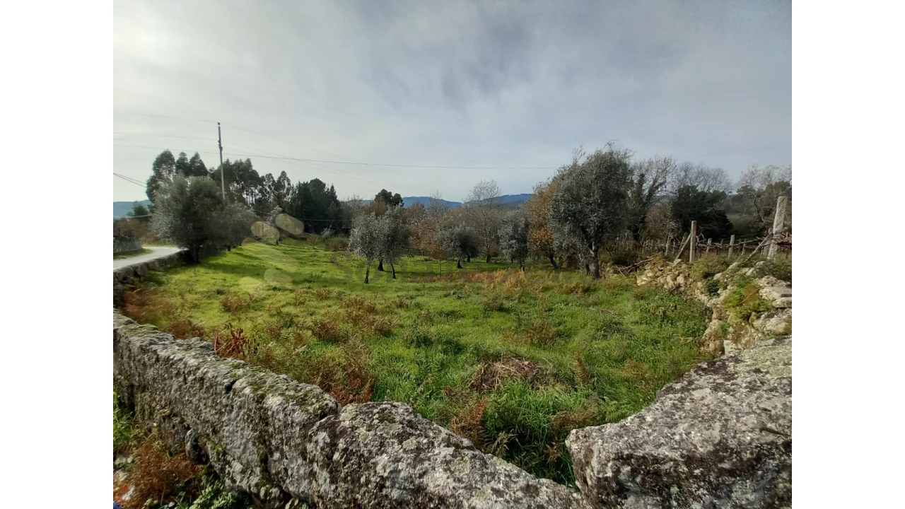 Terreno para Venda em Vila Boa de Quires e Maureles Foto 1