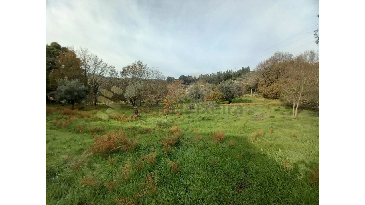 Terreno para Venda em Vila Boa de Quires e Maureles Foto 6