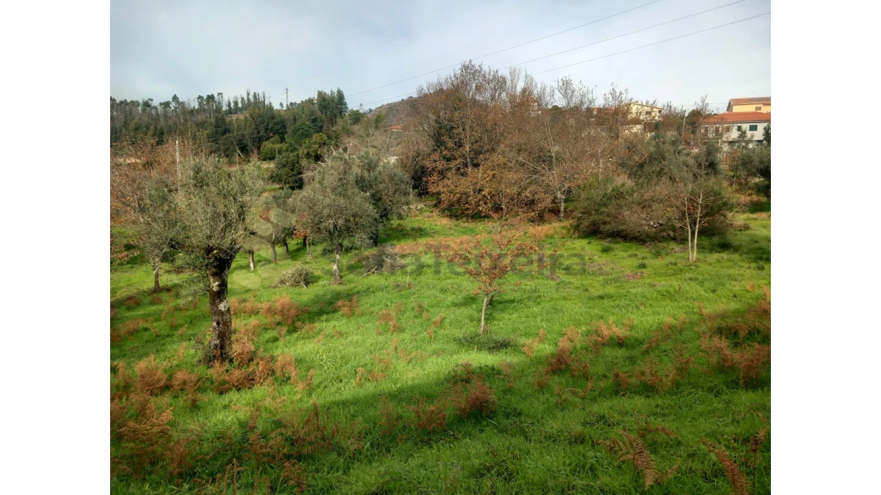 Terreno para Venda em Vila Boa de Quires e Maureles Foto 8