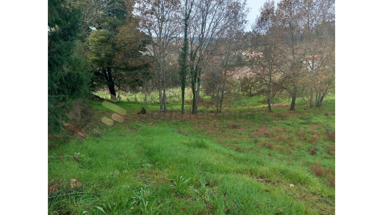 Terreno para Venda em Vila Boa de Quires e Maureles Foto 9