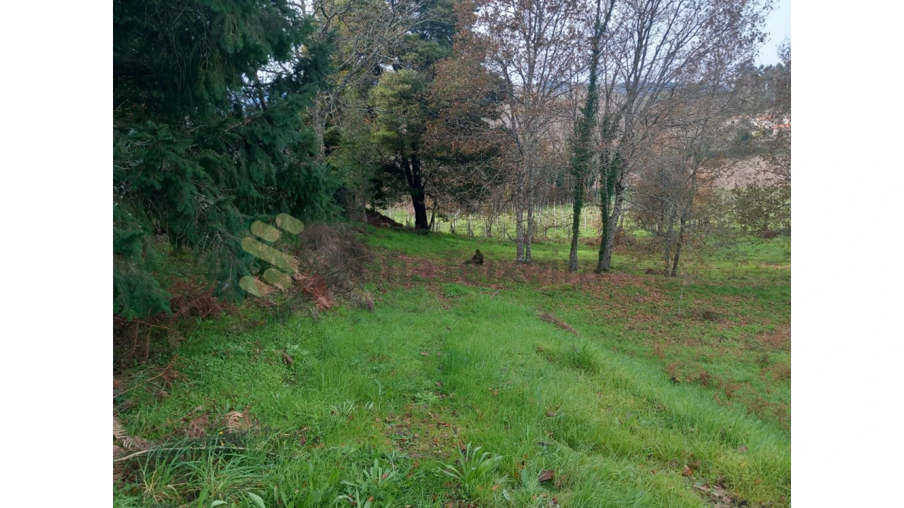 Terreno para Venda em Vila Boa de Quires e Maureles Foto 16