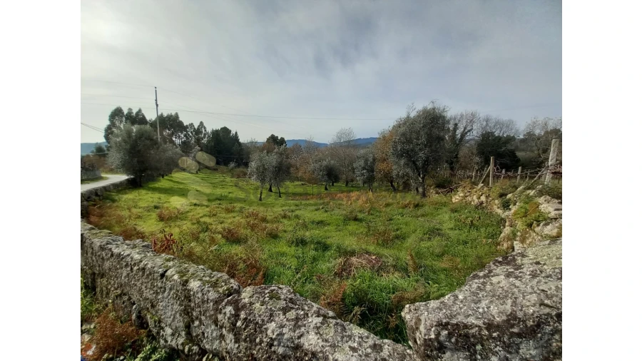 Terreno para Venda em Vila Boa de Quires e Maureles Foto 1