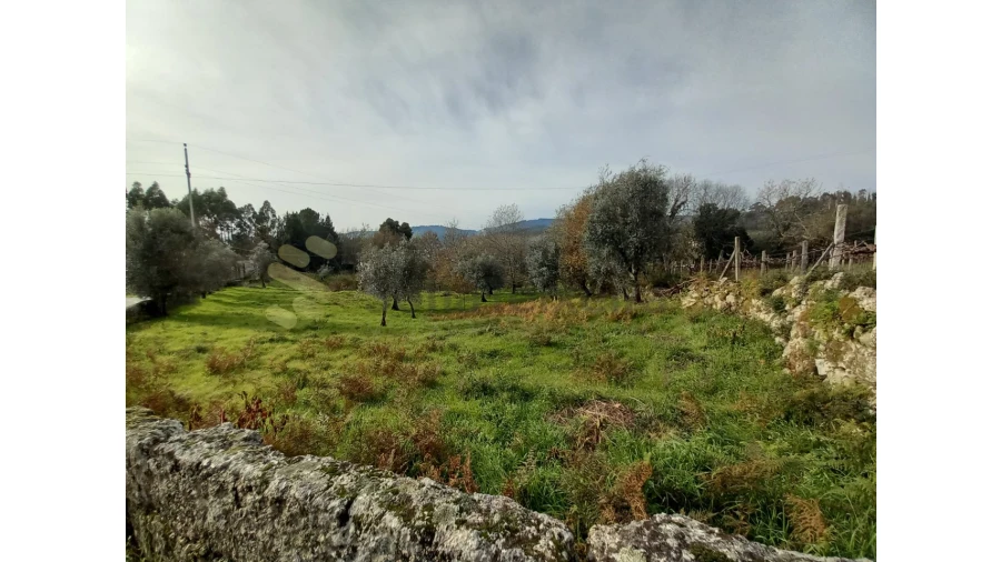 Terreno para Venda em Vila Boa de Quires e Maureles Foto 2