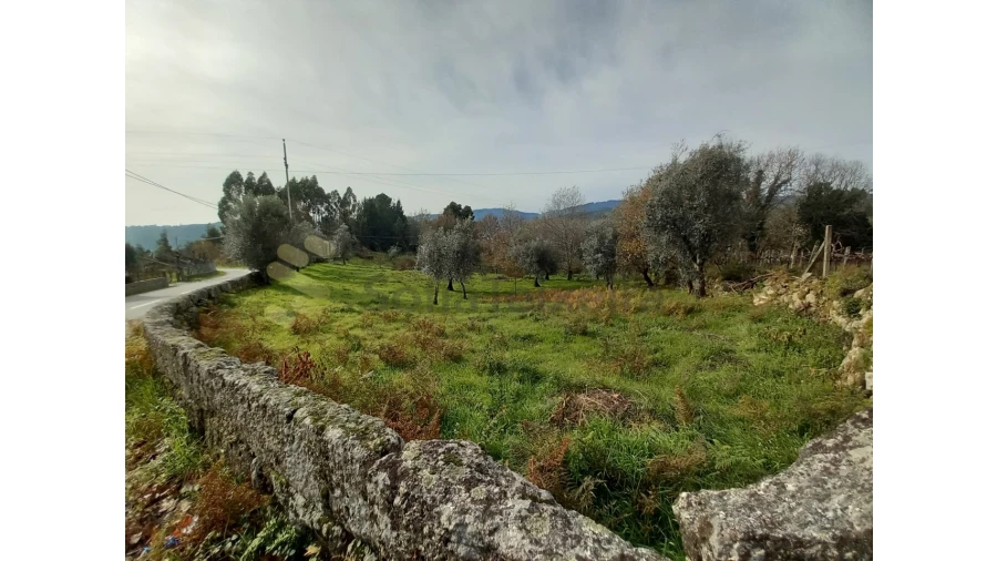 Terreno para Venda em Vila Boa de Quires e Maureles Foto 4