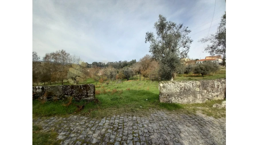 Terreno para Venda em Vila Boa de Quires e Maureles Foto 5