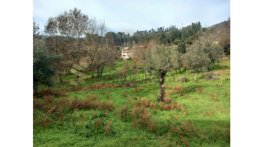 Terreno para Venda em Vila Boa de Quires e Maureles Foto 7