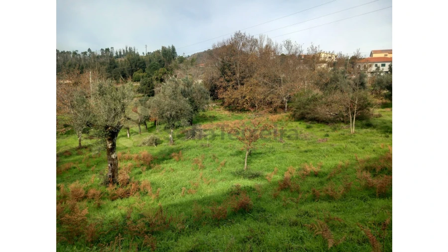 Terreno para Venda em Vila Boa de Quires e Maureles Foto 8