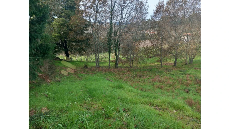 Terreno para Venda em Vila Boa de Quires e Maureles Foto 9