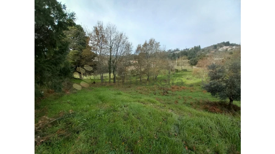 Terreno para Venda em Vila Boa de Quires e Maureles Foto 10