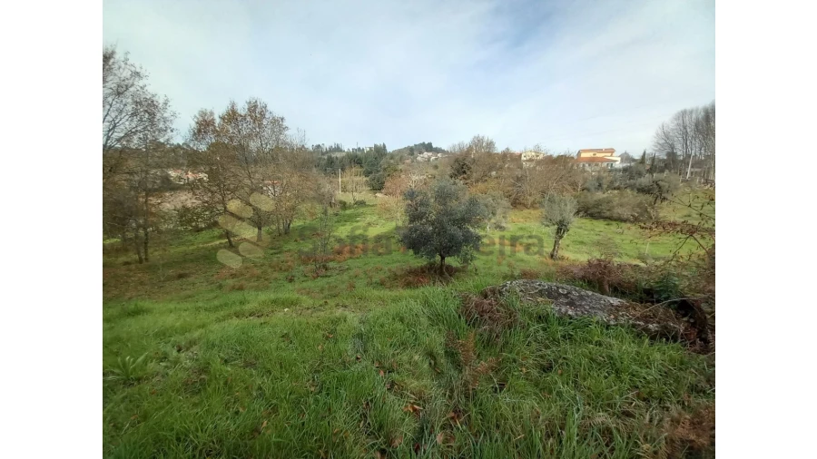 Terreno para Venda em Vila Boa de Quires e Maureles Foto 11