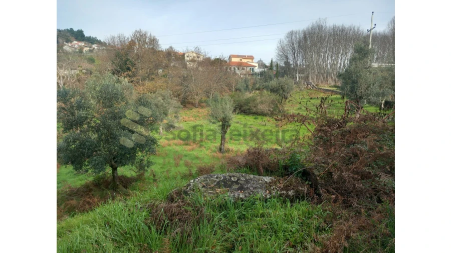 Terreno para Venda em Vila Boa de Quires e Maureles Foto 13