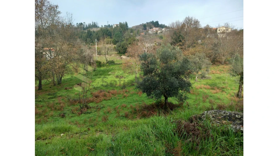 Terreno para Venda em Vila Boa de Quires e Maureles Foto 14