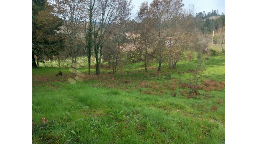 Terreno para Venda em Vila Boa de Quires e Maureles Foto 15
