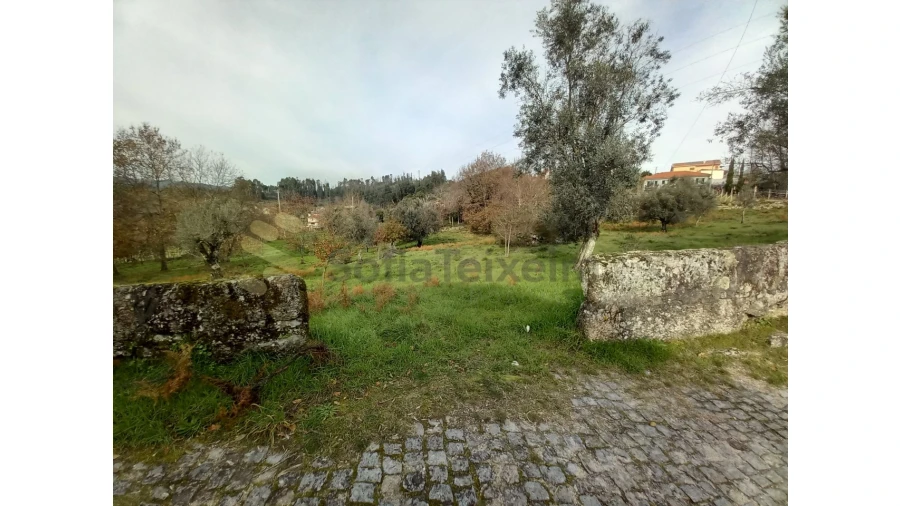 Terreno para Venda em Vila Boa de Quires e Maureles Foto 18