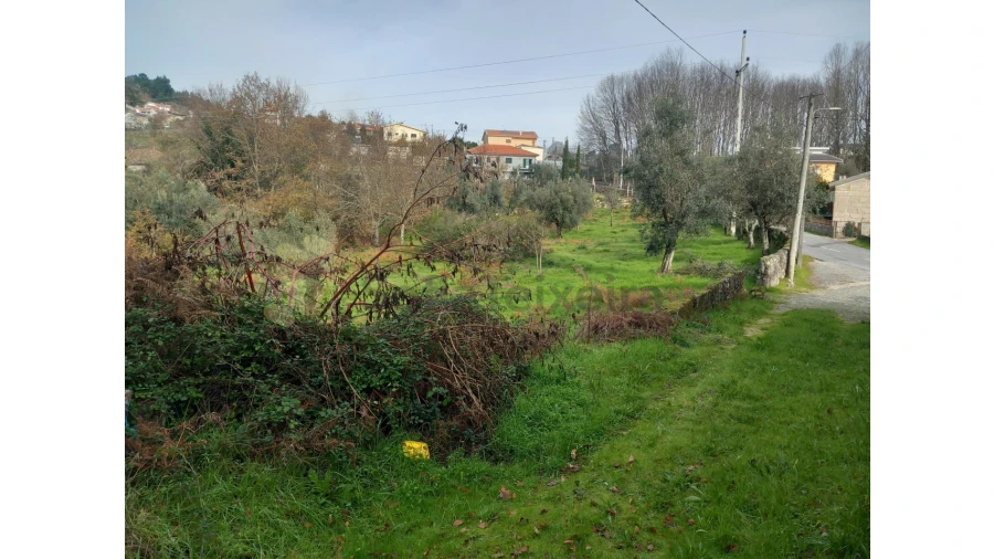 Terreno para Venda em Vila Boa de Quires e Maureles Foto 19