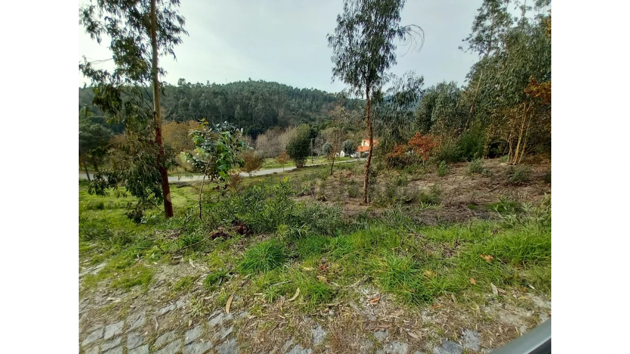 Terreno Agricola ou Rústico para Venda em Vila Boa de Quires e Maureles Foto 1