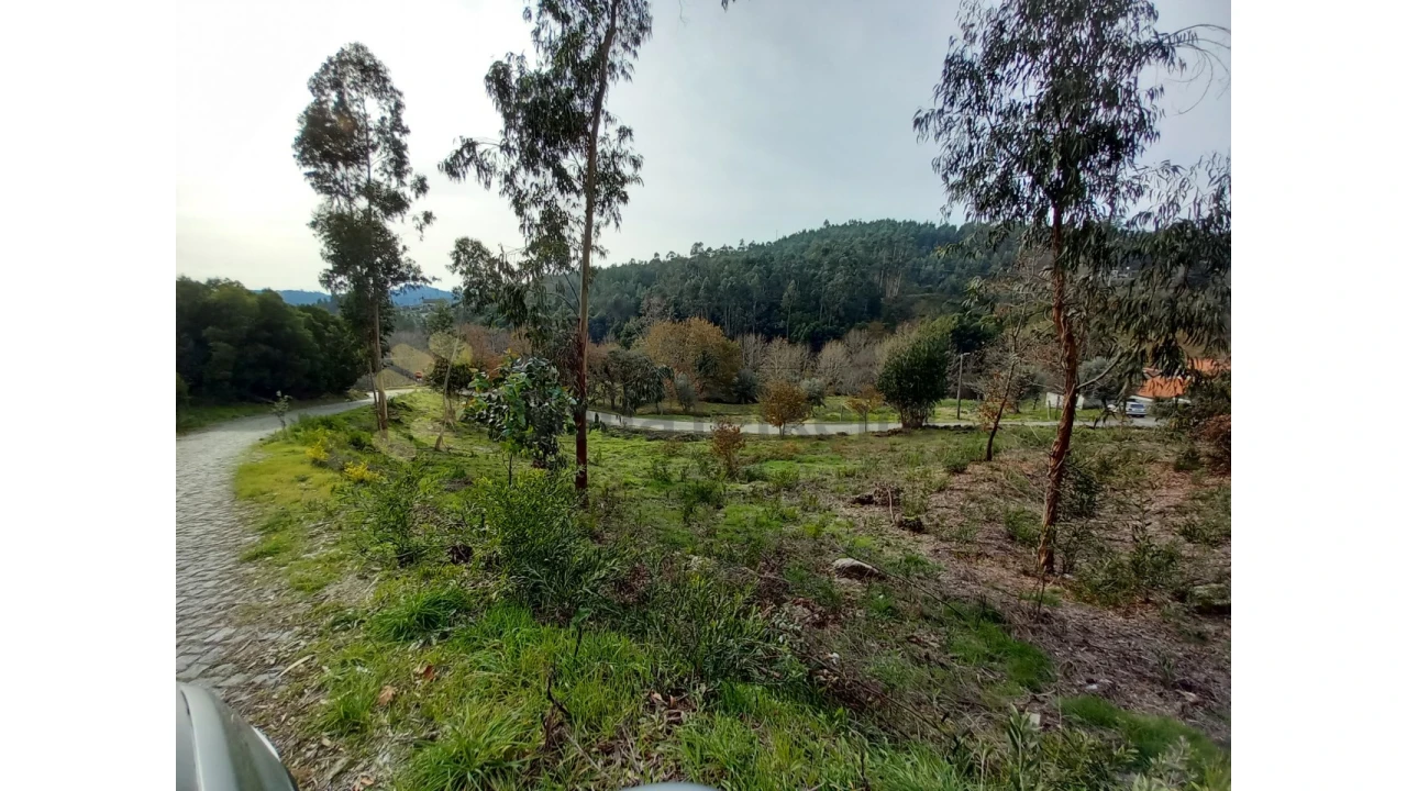 Terreno Agricola ou Rústico para Venda em Vila Boa de Quires e Maureles Foto 3