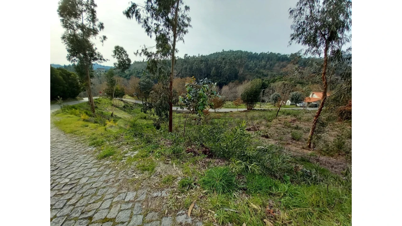 Terreno Agricola ou Rústico para Venda em Vila Boa de Quires e Maureles Foto 4