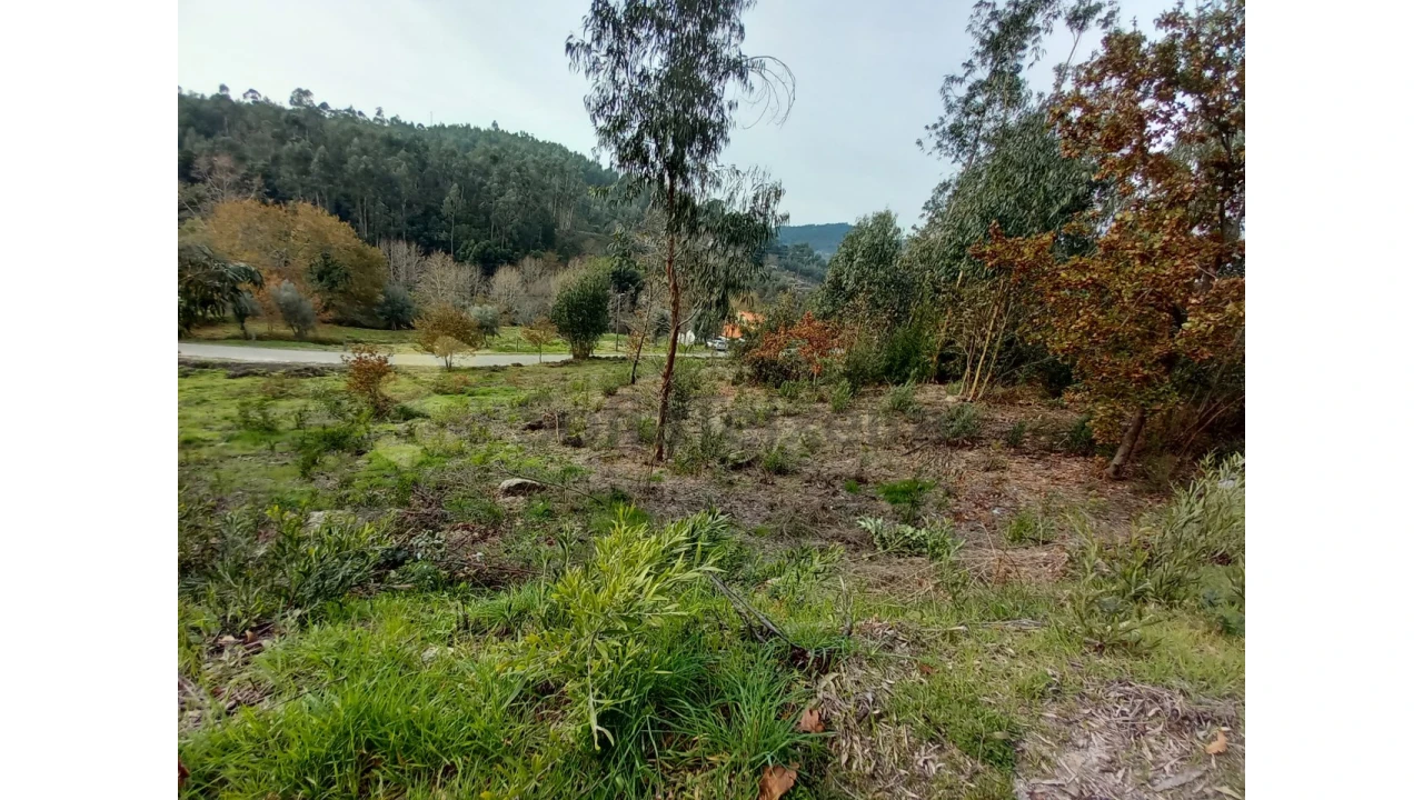 Terreno Agricola ou Rústico para Venda em Vila Boa de Quires e Maureles Foto 5