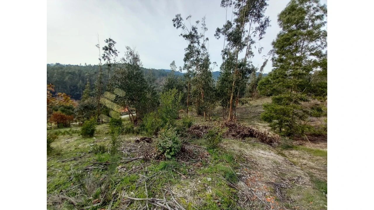 Terreno Agricola ou Rústico para Venda em Vila Boa de Quires e Maureles Foto 9
