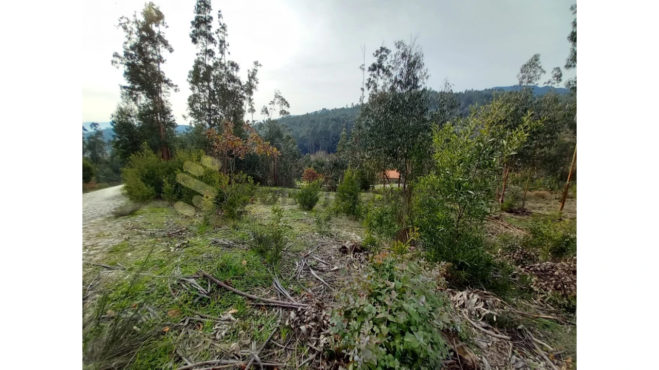Terreno Agricola ou Rústico para Venda em Vila Boa de Quires e Maureles Foto 10