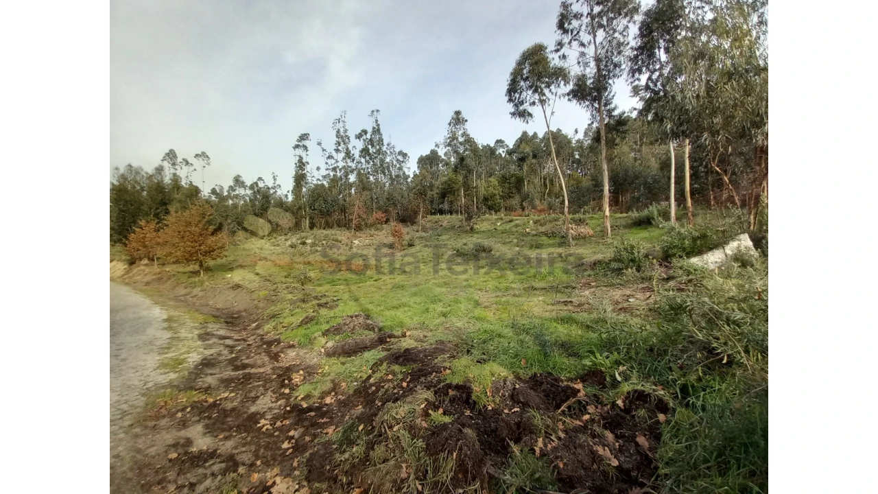 Terreno Agricola ou Rústico para Venda em Vila Boa de Quires e Maureles Foto 12