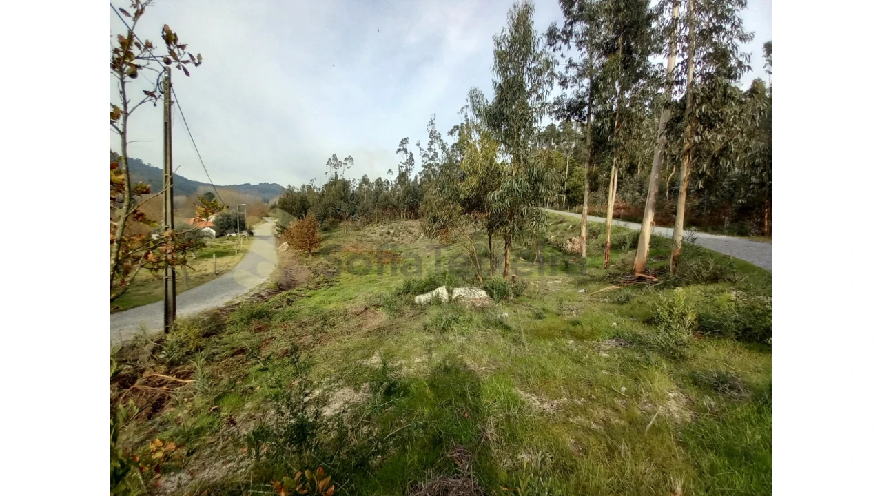 Terreno Agricola ou Rústico para Venda em Vila Boa de Quires e Maureles Foto 13