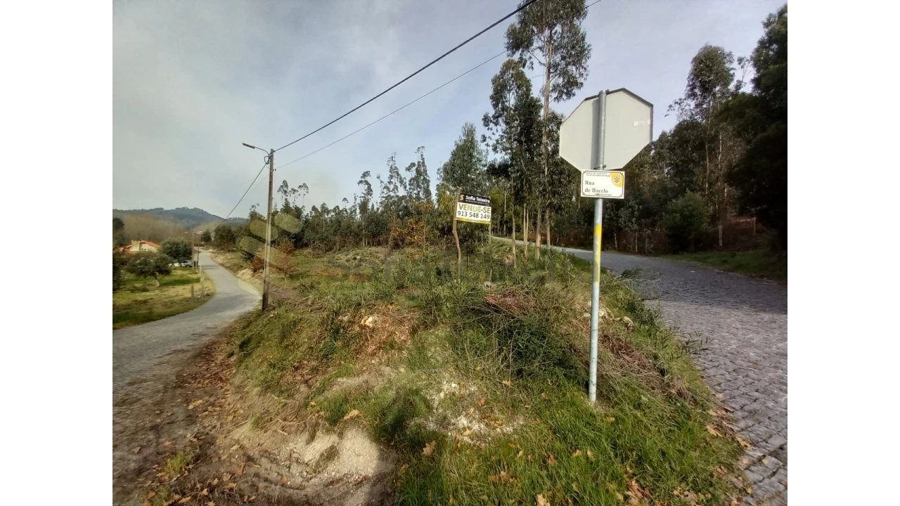 Terreno Agricola ou Rústico para Venda em Vila Boa de Quires e Maureles Foto 14