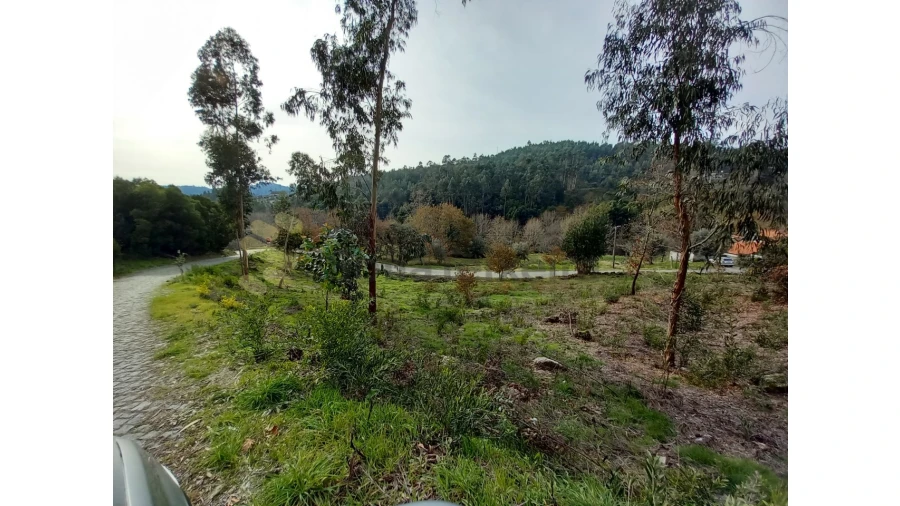 Terreno Agricola ou Rústico para Venda em Vila Boa de Quires e Maureles Foto 3