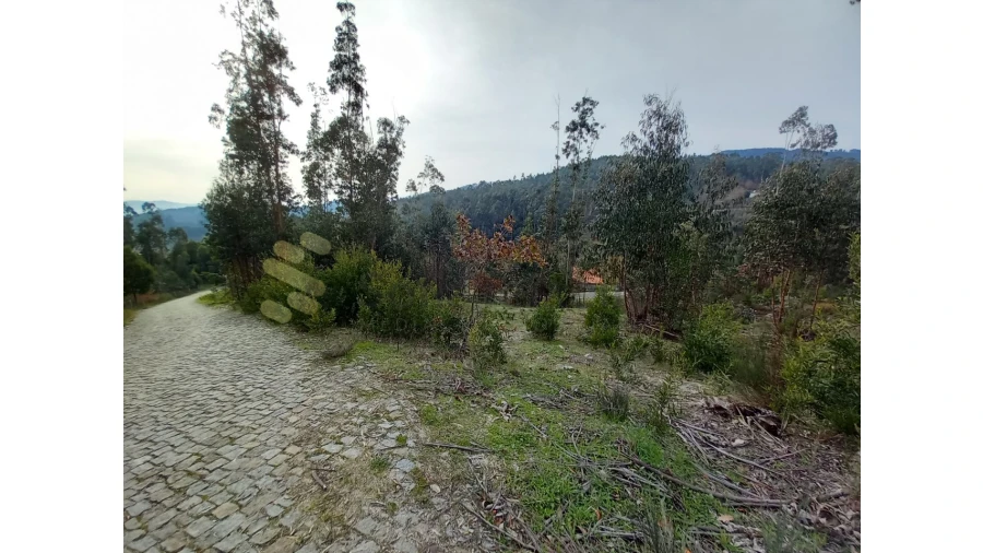 Terreno Agricola ou Rústico para Venda em Vila Boa de Quires e Maureles Foto 6