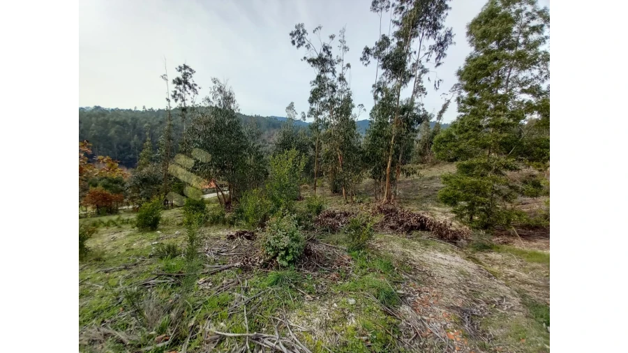 Terreno Agricola ou Rústico para Venda em Vila Boa de Quires e Maureles Foto 9