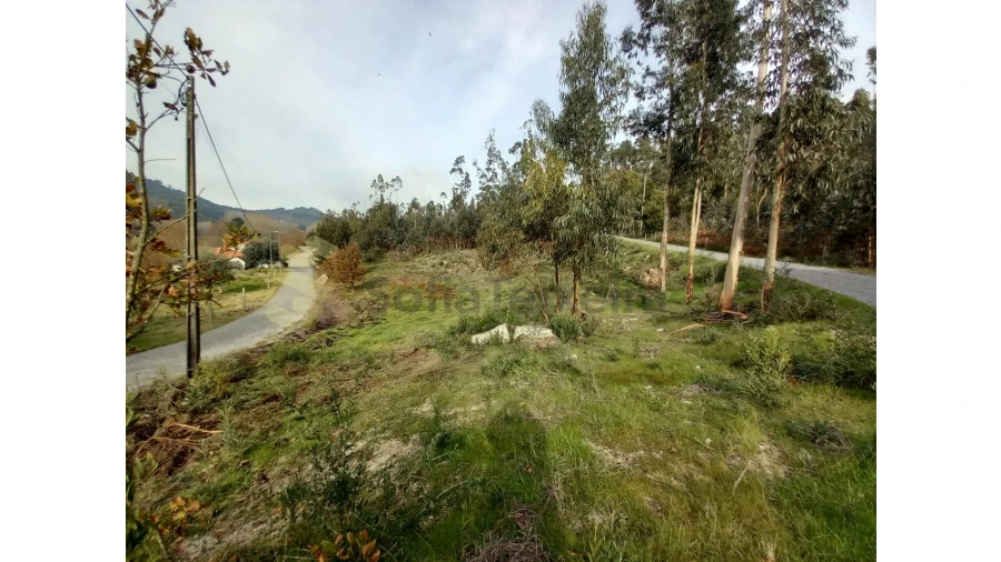 Terreno Agricola ou Rústico para Venda em Vila Boa de Quires e Maureles Foto 13