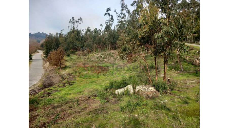 Terreno Agricola ou Rústico para Venda em Vila Boa de Quires e Maureles Foto 15
