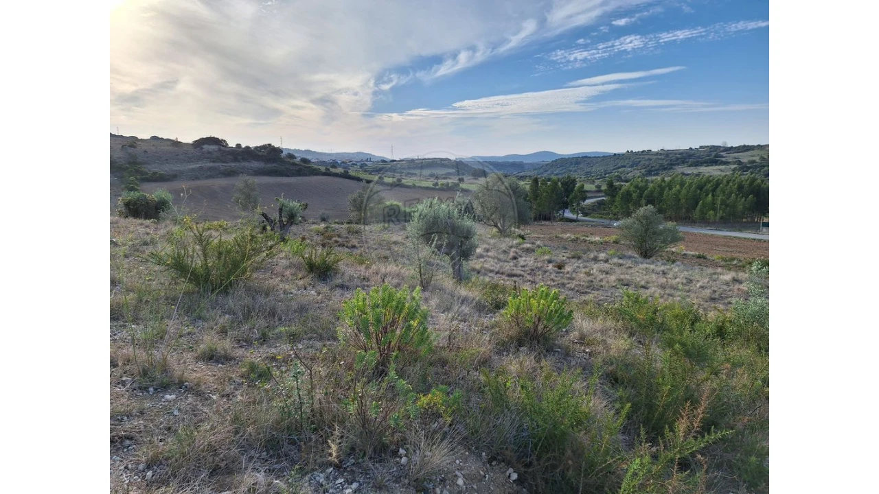 Terreno para Venda em Santiago dos Velhos Foto 23