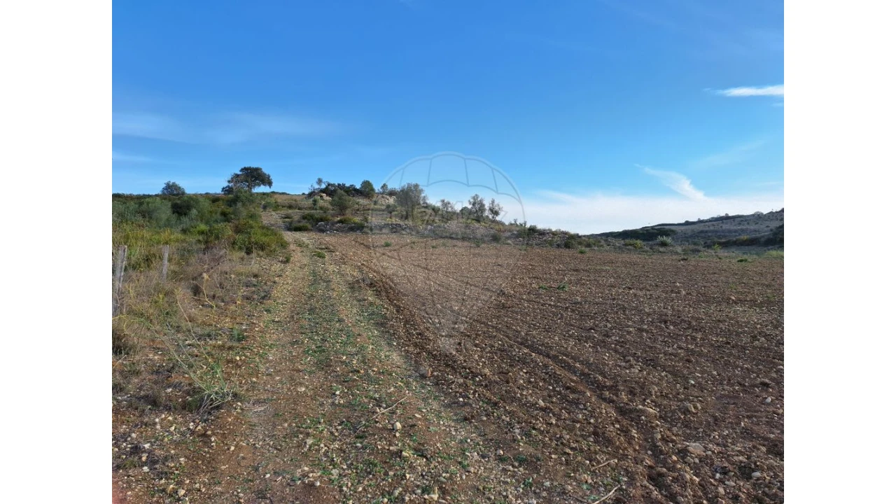 Terreno para Venda em Santiago dos Velhos Foto 13