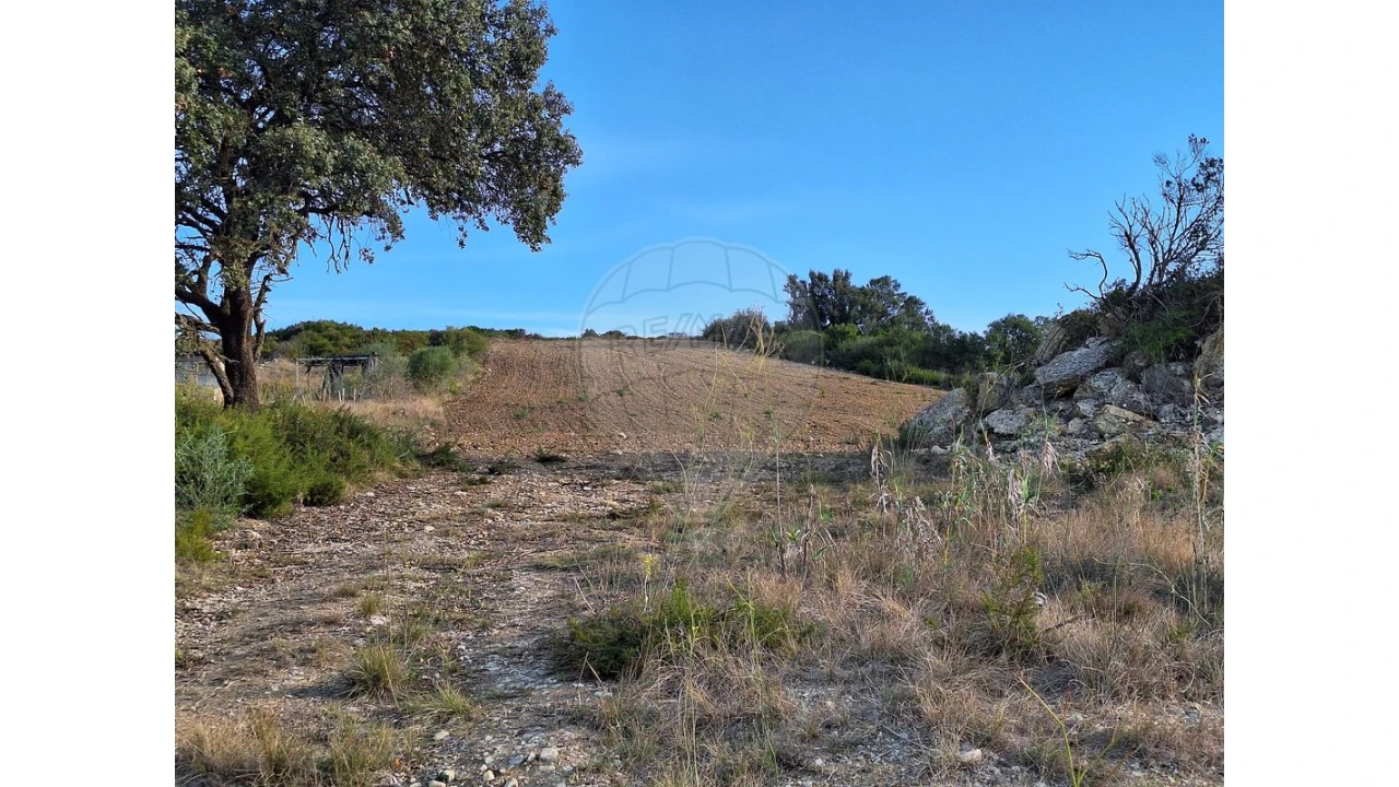 Terreno para Venda em Santiago dos Velhos Foto 22